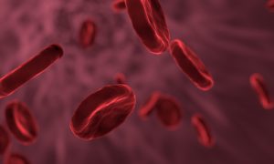 Stilisierte Abbildung Roter Blutzellen in einer Ader.